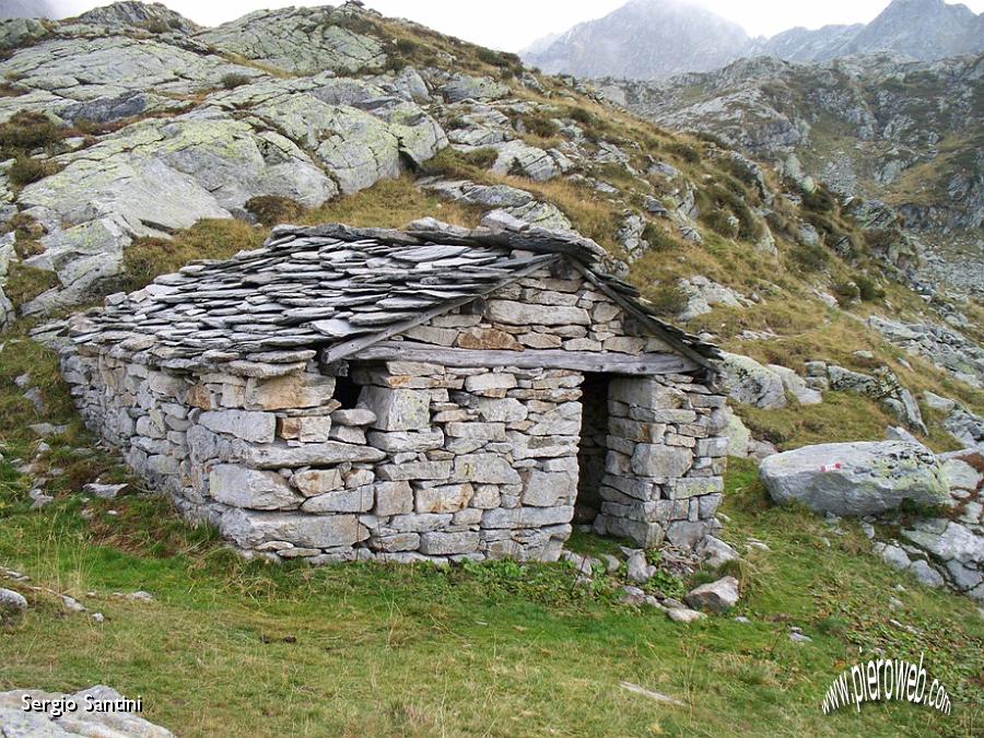 26 Alla Ricerca dei Pierini.JPG - 26 Alla Ricerca dei PierOrobici